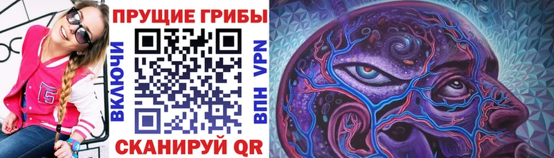 ОМГ ОМГ tor  Котово  Галлюциногенные грибы ЛСД  купить наркотики цена 